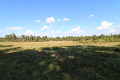 One of the most unique, beautiful properties around!! Private - photo 29