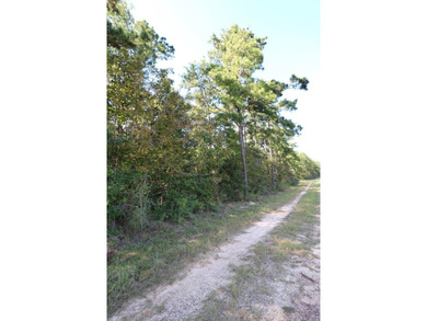 One of the most unique, beautiful properties around!! Private - photo 30
