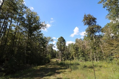 One of the most unique, beautiful properties around!! Private - photo 33