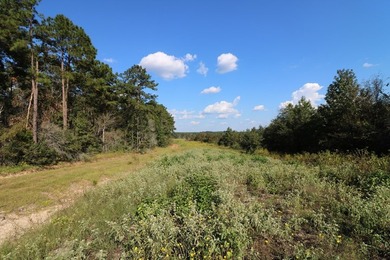 One of the most unique, beautiful properties around!! Private - photo 35