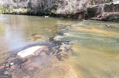 Chattahoochee River - White County Acreage For Sale in Cornelia Georgia