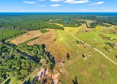 One of the most unique, beautiful properties around!! Private - photo 41