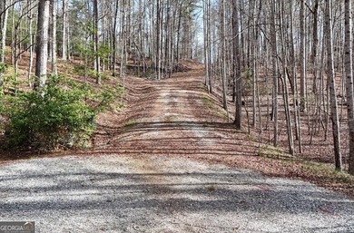 7 Gorgeous wooded acres in scenic Habersham County, GA - photo 2