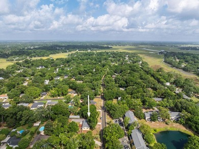 Welcome to this move-in-ready James Island home nestled in a - photo 43