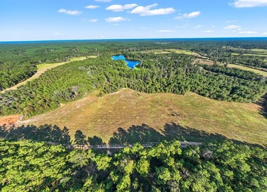 One of the most unique, beautiful properties around!! Private - photo 43
