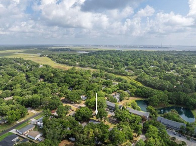 Welcome to this move-in-ready James Island home nestled in a - photo 44