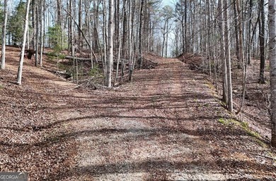 7 Gorgeous wooded acres in scenic Habersham County, GA - photo 4