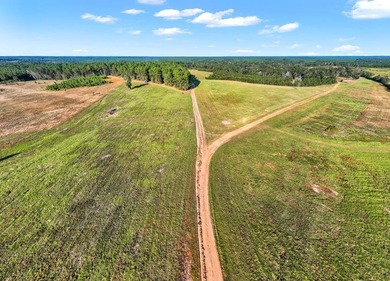 One of the most unique, beautiful properties around!! Private - photo 44
