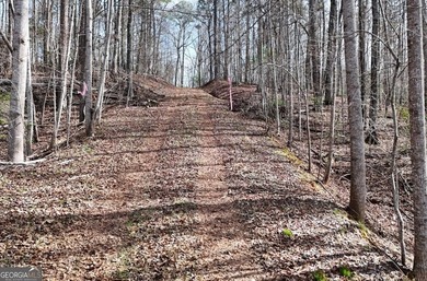 7 Gorgeous wooded acres in scenic Habersham County, GA - photo 5