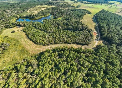 One of the most unique, beautiful properties around!! Private - photo 45