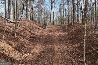 7 Gorgeous wooded acres in scenic Habersham County, GA - photo 6