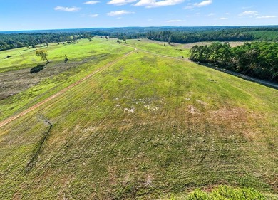 One of the most unique, beautiful properties around!! Private - photo 46