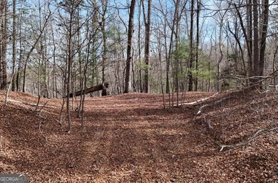 7 Gorgeous wooded acres in scenic Habersham County, GA - photo 7