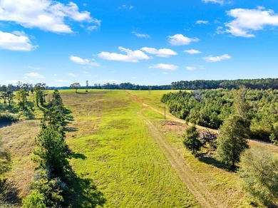 One of the most unique, beautiful properties around!! Private - photo 47
