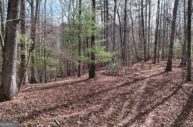 7 Gorgeous wooded acres in scenic Habersham County, GA - photo 8