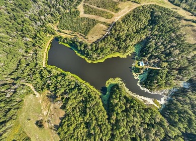 One of the most unique, beautiful properties around!! Private - photo 48