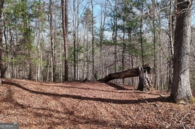 7 Gorgeous wooded acres in scenic Habersham County, GA - photo 9