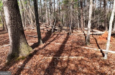 7 Gorgeous wooded acres in scenic Habersham County, GA - photo 10