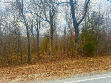 White Oak Lake - Izard County Acreage For Sale in Horseshoe Bend Arkansas