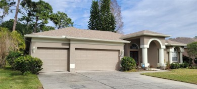 (private lake, pond, creek) Home For Sale in Palm Harbor Florida