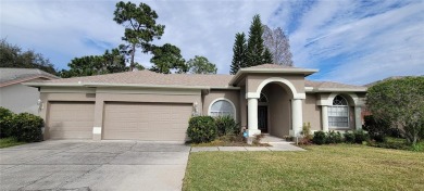 Lake Home For Sale in Palm Harbor, Florida