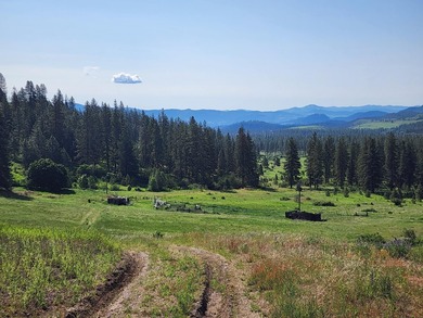 Lake Roosevelt Acreage For Sale in Inchelium Washington