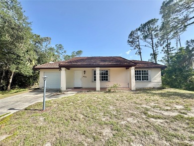 Port Charlotte Waterway Area Home For Sale in Port Charlotte Florida