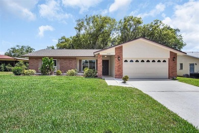 Lake Tarpon Home Sale Pending in Palm Harbor Florida