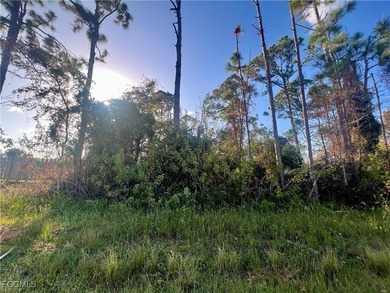Located in a developing neighborhood, this residential lot - photo 3