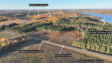 Seventh Crow Wing Lake Acreage For Sale in Nevis Minnesota