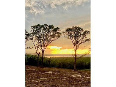 Discover your own slice of paradise at OakRidge at Chicken Creek - photo 4