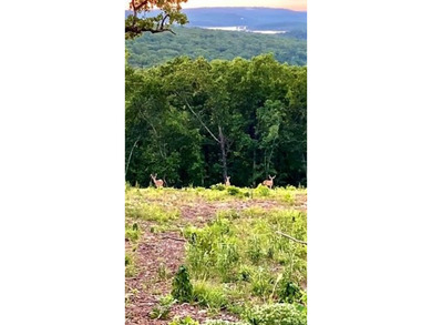 Discover your own slice of paradise at OakRidge at Chicken Creek - photo 8