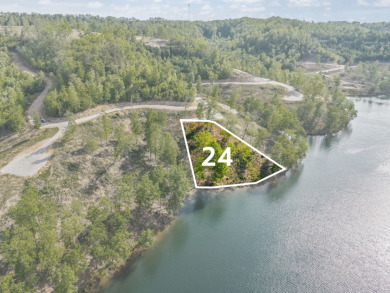 LAKE FRONT BUILDING LOT ON WOOD CREEK LAKE - photo 4