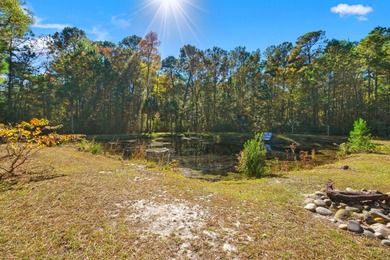 Discover peaceful Lowcountry living in this charming 2022 home - photo 34