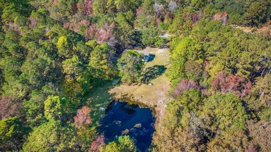 Discover peaceful Lowcountry living in this charming 2022 home - photo 35