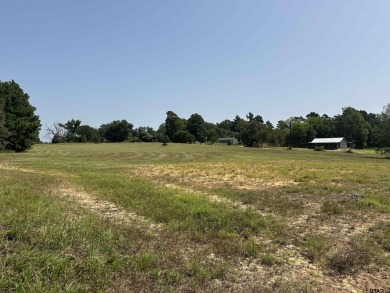 Lake Lot For Sale in Frankston, Texas