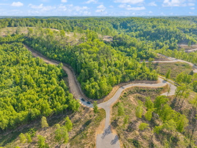 LAKE FRONT BUILDING LOT ON WOOD CREEK LAKE - photo 17