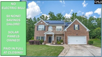 Lake Home For Sale in Chapin, South Carolina
