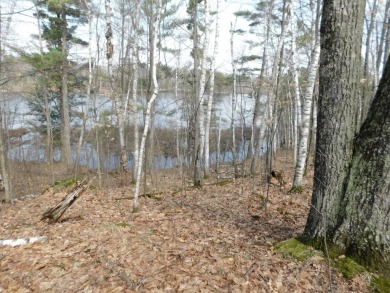 Lake Lot For Sale in Rhinelander, Wisconsin