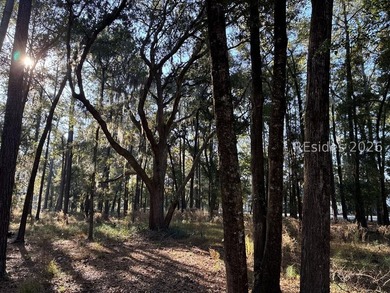 Rare opportunity to own a spacious, wooded corner homesite in - photo 1