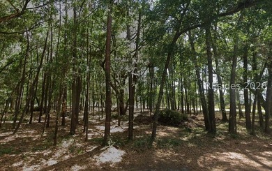 Rare opportunity to own a spacious, wooded corner homesite in - photo 5