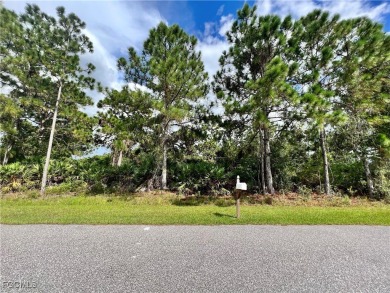 Port Charlotte Waterway Lakes Area Lot For Sale in Port Charlotte Florida