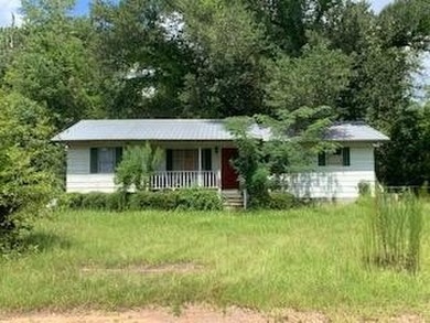 Lake Seminole Home For Sale in Donalsonville Georgia