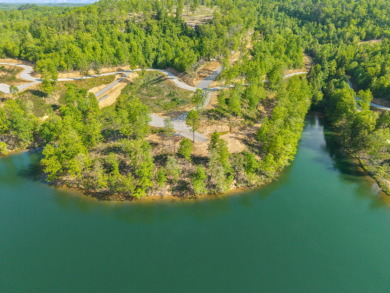 LAKE FRONT BUILDING LOT ON WOOD CREEK LAKE - photo 29