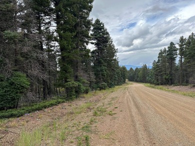 Monte Verde Lake Lot For Sale in Angel Fire New Mexico