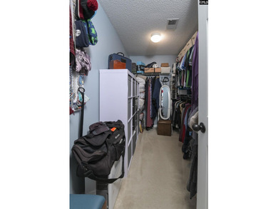 Welcome home to 116 Wingspan Way! Located in Chapin's Eagle - photo 19