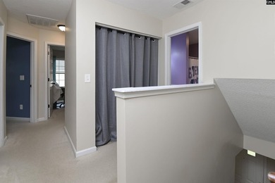 Welcome home to 116 Wingspan Way! Located in Chapin's Eagle - photo 21