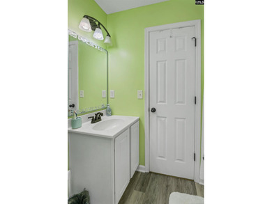 Welcome home to 116 Wingspan Way! Located in Chapin's Eagle - photo 25