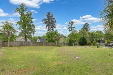 Welcome home to 116 Wingspan Way! Located in Chapin's Eagle - photo 33