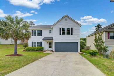 Welcome home to 116 Wingspan Way! Located in Chapin's Eagle - photo 34